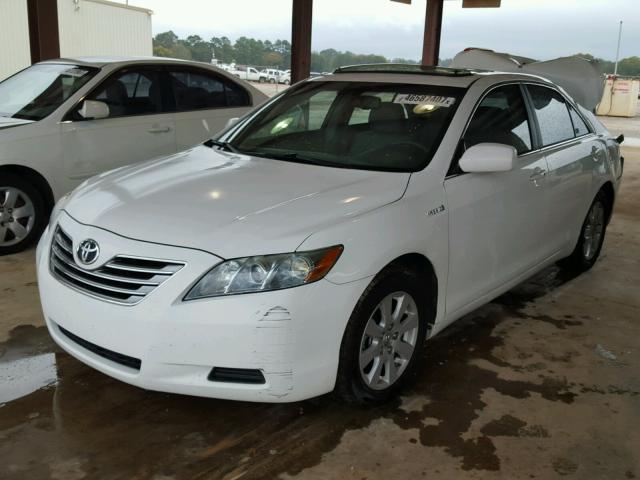 4T1BB46K98U057347 - 2008 TOYOTA CAMRY WHITE photo 2