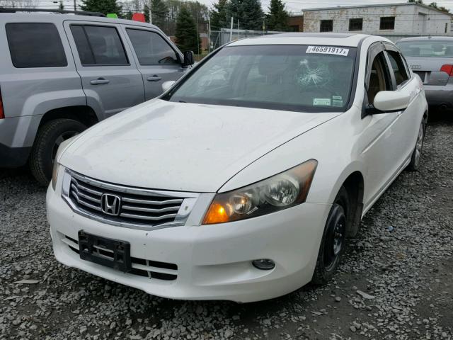 1HGCP36889A018410 - 2009 HONDA ACCORD EXL WHITE photo 2