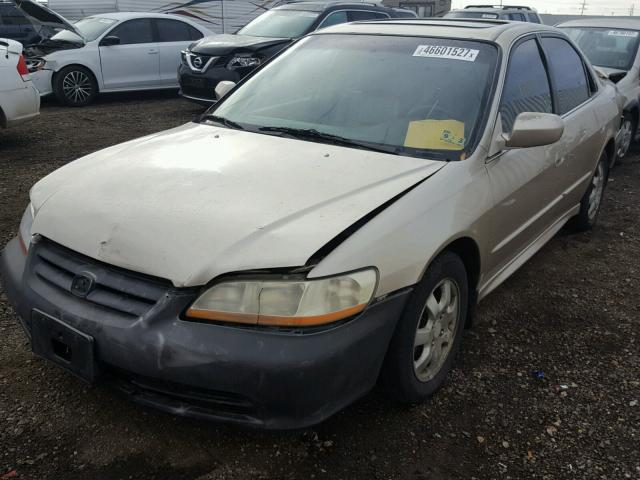 JHMCG56661C028790 - 2001 HONDA ACCORD EX GOLD photo 2