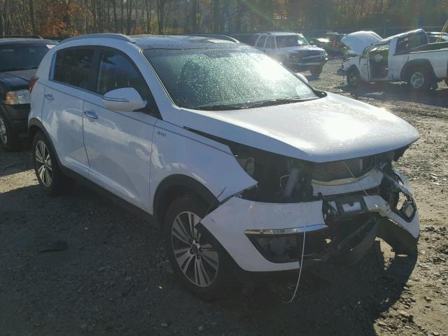 KNDPCCAC8F7701269 - 2015 KIA SPORTAGE E WHITE photo 1