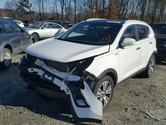 KNDPCCAC8F7701269 - 2015 KIA SPORTAGE E WHITE photo 2