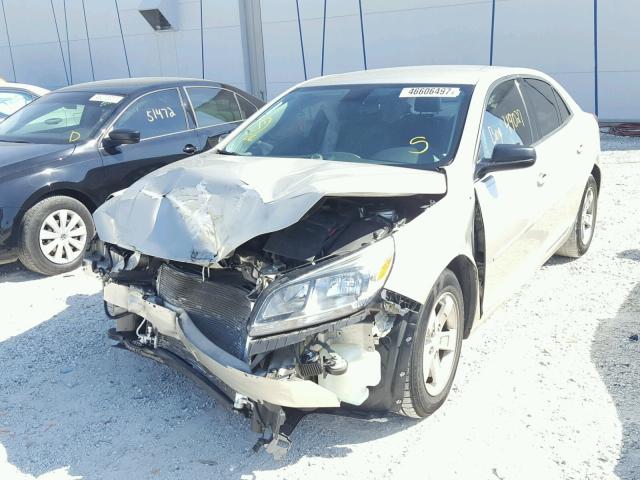 1G11B5SLXEF249423 - 2014 CHEVROLET MALIBU LS SILVER photo 2