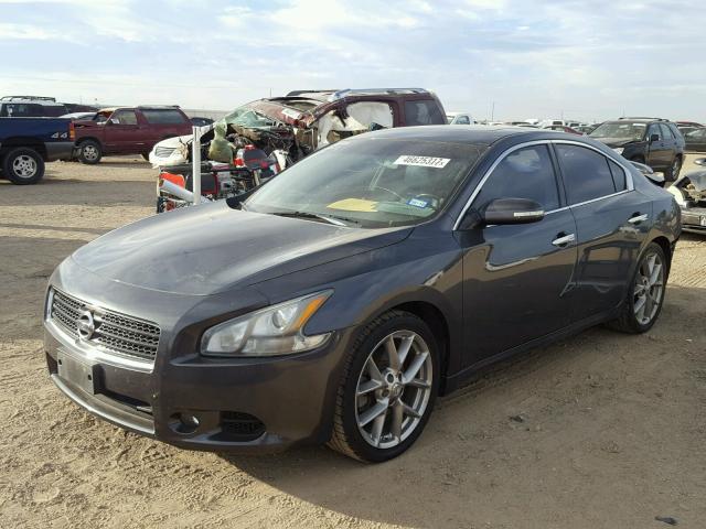 1N4AA5AP4BC816484 - 2011 NISSAN MAXIMA S GRAY photo 2