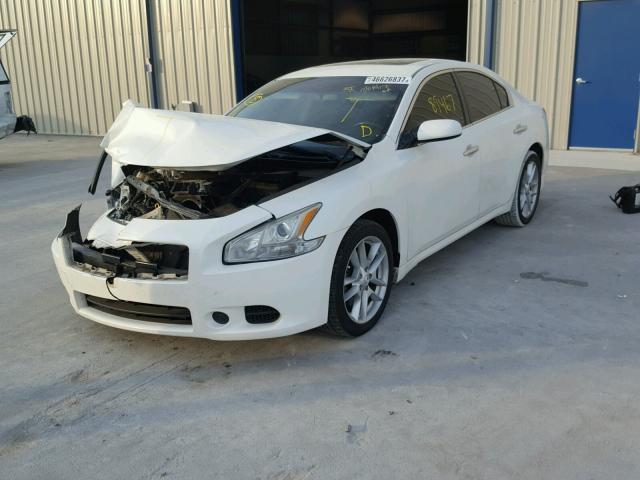 1N4AA5AP8BC819937 - 2011 NISSAN MAXIMA S WHITE photo 2