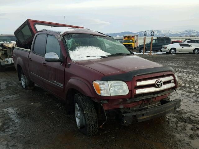 5TBDT44116S543035 - 2006 TOYOTA TUNDRA DOU BURGUNDY photo 1