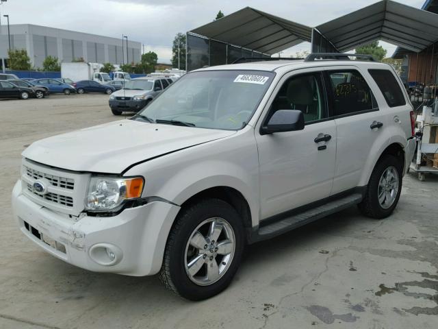 1FMCU9DG4CKA58842 - 2012 FORD ESCAPE XLT WHITE photo 2