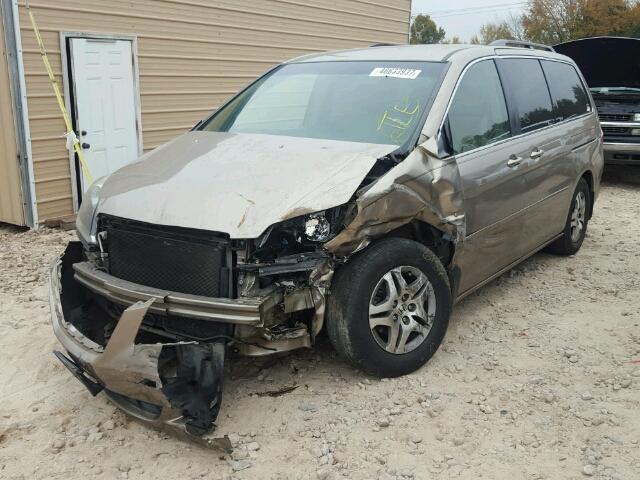 5FNRL38485B093172 - 2005 HONDA ODYSSEY EX GOLD photo 2