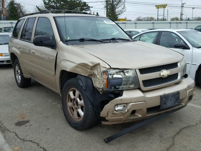 1GNDS13S562342904 - 2006 CHEVROLET TRAILBLAZE GOLD photo 1