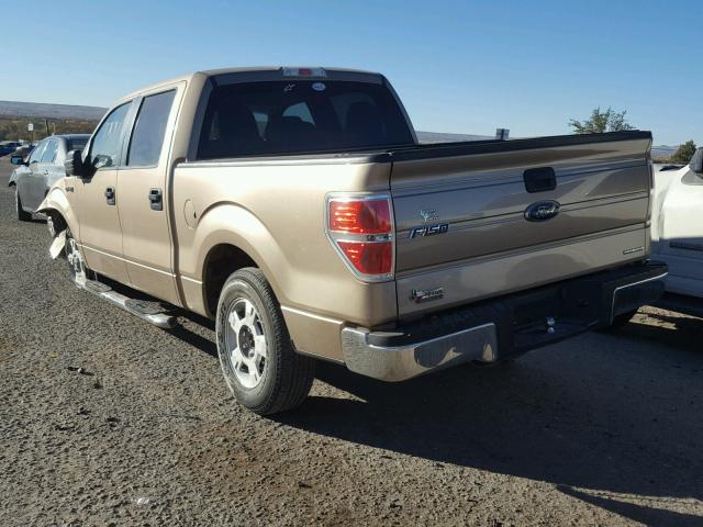 1FTEW1CM9DKF65009 - 2013 FORD F150 SUPER TAN photo 3