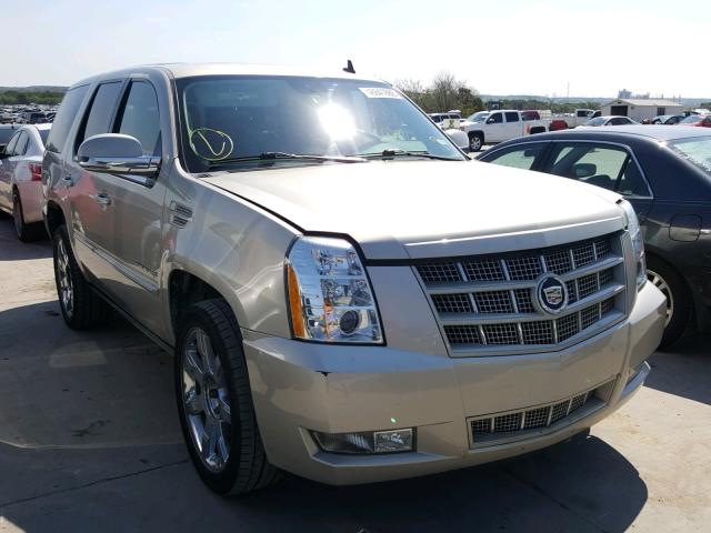 1GYS3CEF9DR193470 - 2013 CADILLAC ESCALADE P GOLD photo 1