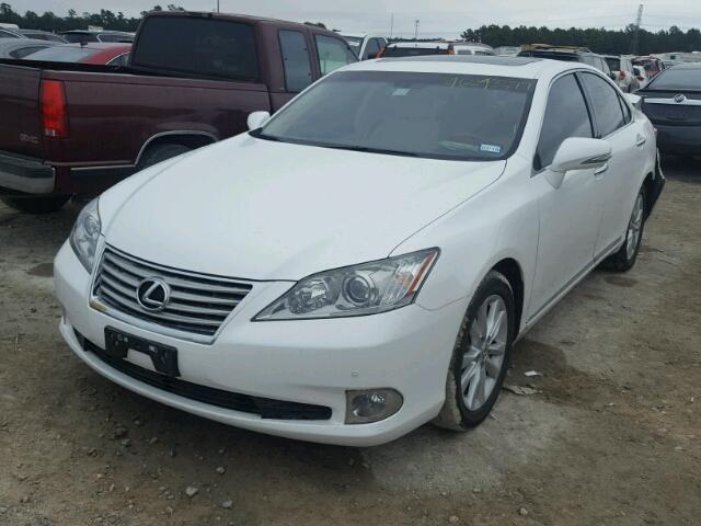 JTHBK1EG9B2472315 - 2011 LEXUS ES 350 WHITE photo 2