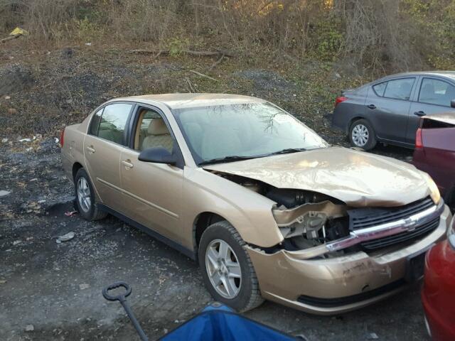 1G1ZT52845F263457 - 2005 CHEVROLET MALIBU LS GOLD photo 1