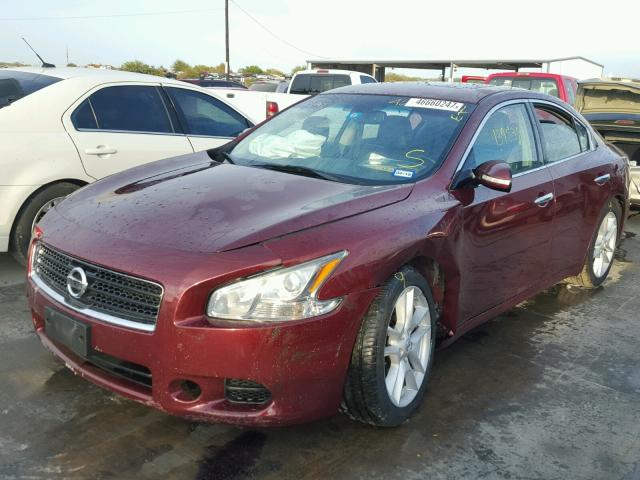 1N4AA5AP6BC848269 - 2011 NISSAN MAXIMA S MAROON photo 2