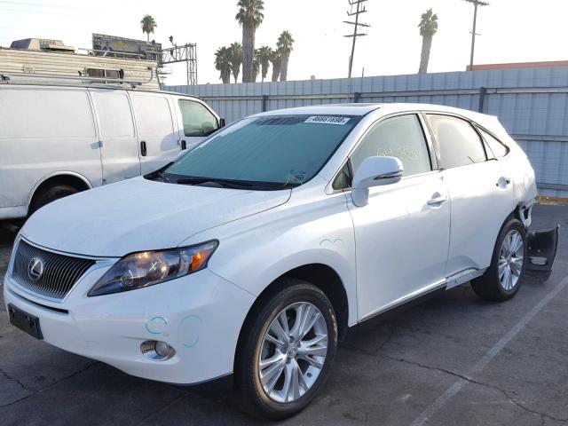 JTJZB1BA6C2006372 - 2012 LEXUS RX 450 WHITE photo 2