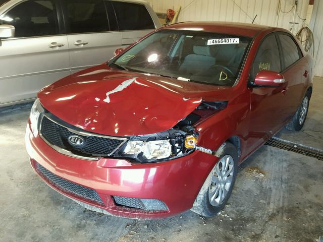 KNAFU4A27A5837366 - 2010 KIA FORTE RED photo 2