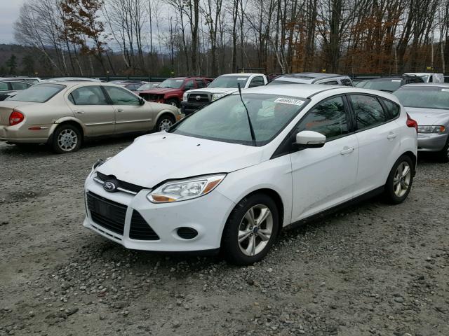 1FADP3K28DL249234 - 2013 FORD FOCUS SE WHITE photo 2