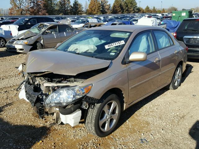 2T1BU4EE6BC646001 - 2011 TOYOTA COROLLA BA GOLD photo 2