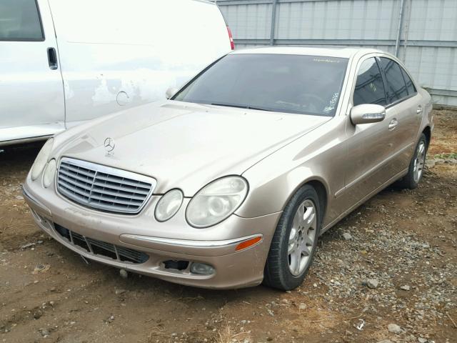 WDBUF26J85A688681 - 2005 MERCEDES-BENZ E GOLD photo 2