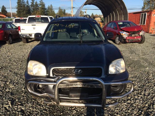 KM8SB13D84U615929 - 2004 HYUNDAI SANTA FE B BLUE photo 8