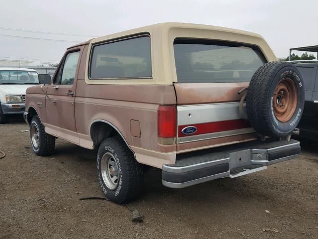 1FMEU15H1JLA66826 - 1988 FORD BRONCO U10 TAN photo 3