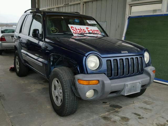 1J4GK48K82W185558 - 2002 JEEP LIBERTY BLUE photo 1