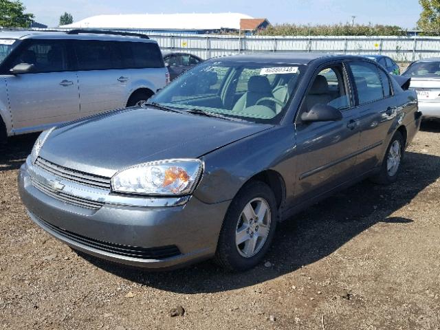 1G1ZT54885F279402 - 2005 CHEVROLET MALIBU LS Boz foto 2