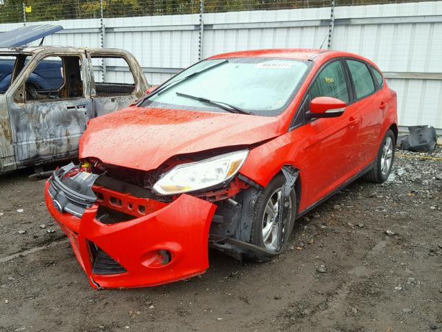1FADP3K28DL338608 - 2013 FORD FOCUS SE RED photo 2