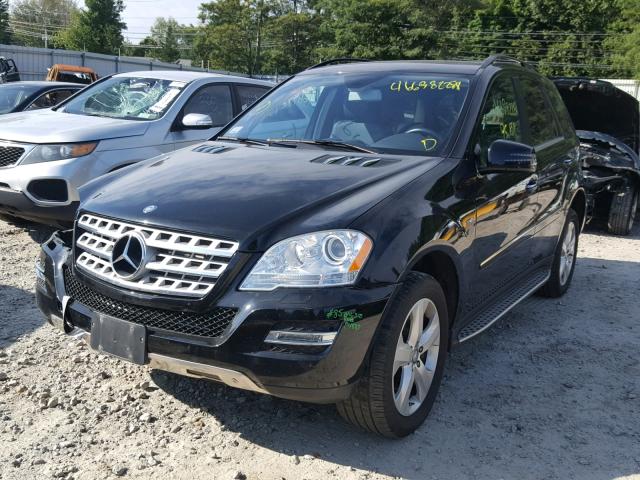 4JGBB2FBXBA667531 - 2011 MERCEDES-BENZ ML 350 BLU BLACK photo 2