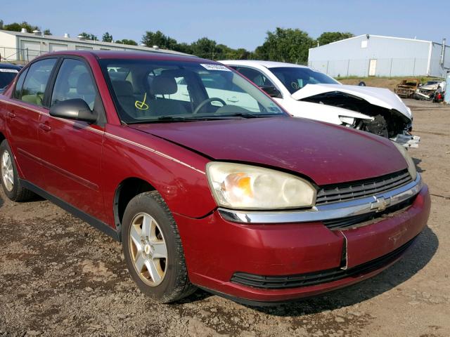 1G1ZT52855F328736 - 2005 CHEVROLET MALIBU LS Qırmızı foto 1