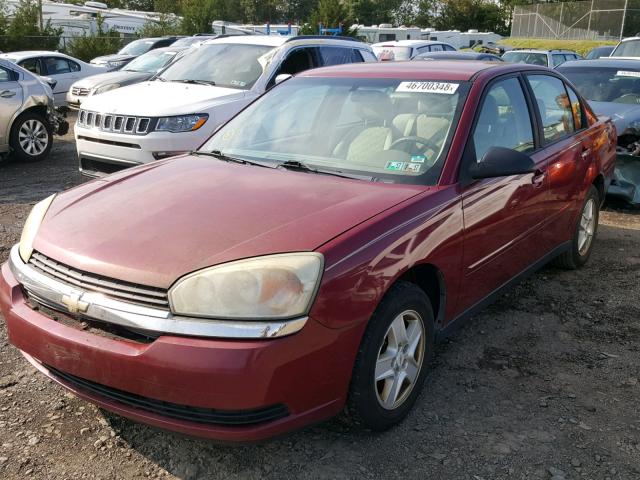 1G1ZT52855F328736 - 2005 CHEVROLET MALIBU LS Qırmızı foto 2