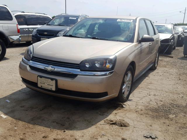 1G1ZT62805F271027 - 2005 CHEVROLET MALIBU MAX 棕色 照片 2