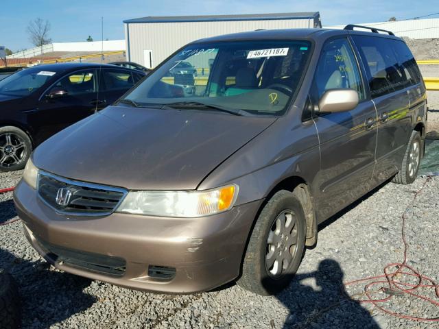 5FNRL18034B116129 - 2004 HONDA ODYSSEY EX BROWN photo 2