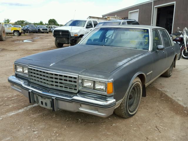 1G1AN69H3EX125311 - 1984 CHEVROLET CAPRICE CL 灰色 照片 2