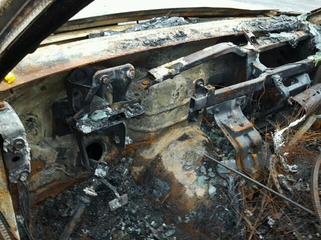 1GNDT13S662133815 - 2006 CHEVROLET TRAILBLAZE BURN photo 8