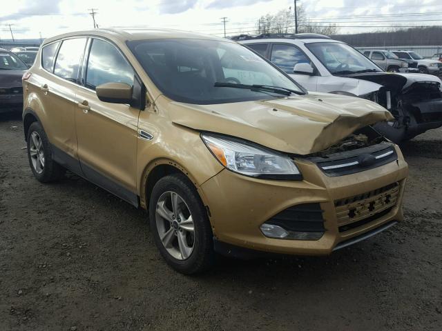 1FMCU0GX2EUC60531 - 2014 FORD ESCAPE SE BROWN photo 1