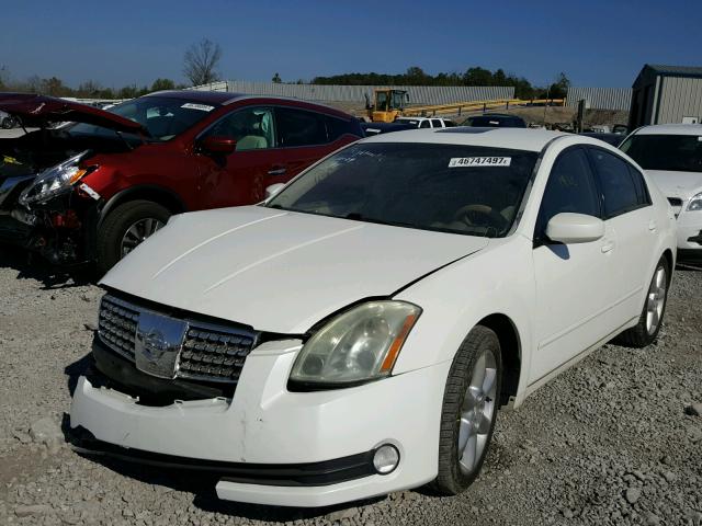 1N4BA41E76C834657 - 2006 NISSAN MAXIMA SE WHITE photo 2