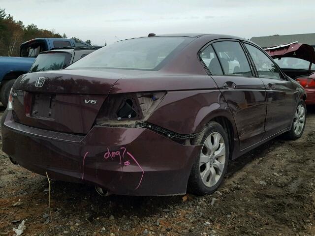 5KBCP3F85AB010616 - 2010 HONDA ACCORD EXL MAROON photo 4