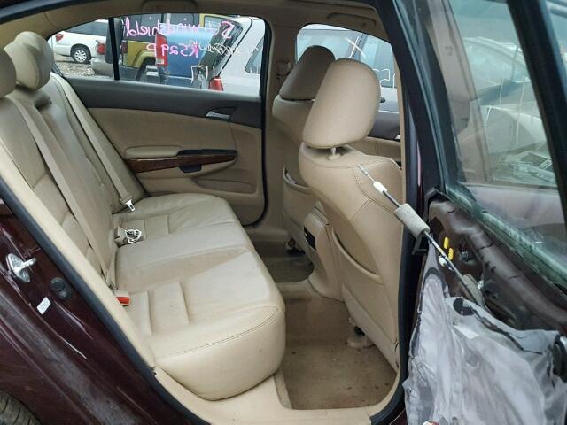 5KBCP3F85AB010616 - 2010 HONDA ACCORD EXL MAROON photo 6