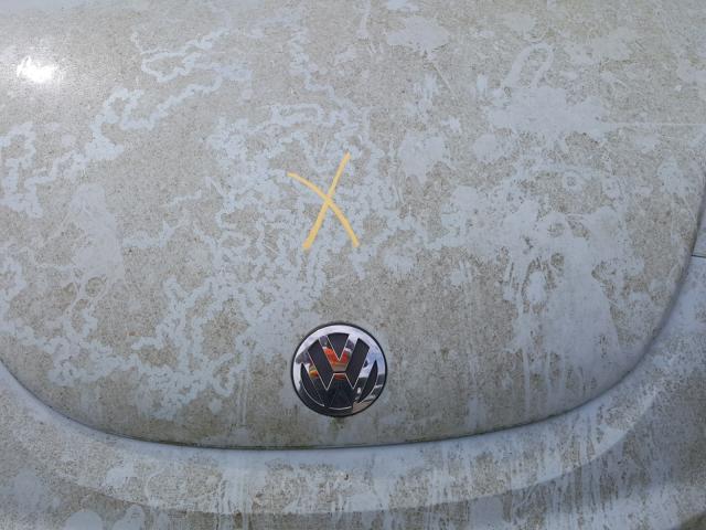 3VWRF31Y26M306020 - 2006 VOLKSWAGEN NEW BEETLE 蓝色 照片 7