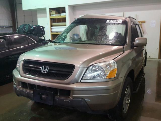 2HKYF184X4H556646 - 2004 HONDA PILOT EX TAN photo 2