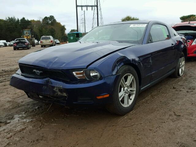 1ZVBP8AM5C5265697 - 2012 FORD MUSTANG BLUE photo 2