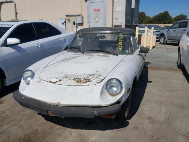 AR115410002429 - 1978 ALFA ROMEO SPIDER WHITE photo 2