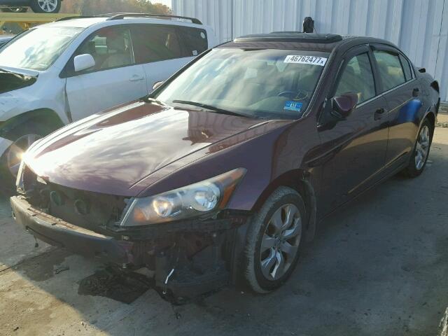 1HGCP26738A051301 - 2008 HONDA ACCORD EX BURGUNDY photo 2