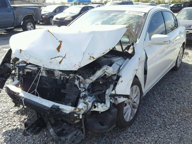 1HGCR3F9XEA035898 - 2014 HONDA ACCORD TOU WHITE photo 2