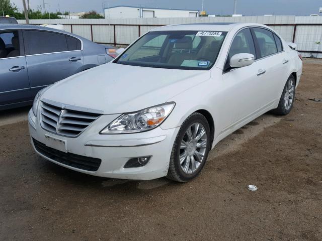 KMHGC4DE4BU113881 - 2011 HYUNDAI GENESIS 3. WHITE photo 2