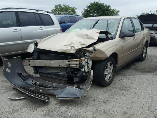 1G1ZT548X5F202255 - 2005 CHEVROLET MALIBU LS Qızıl foto 2