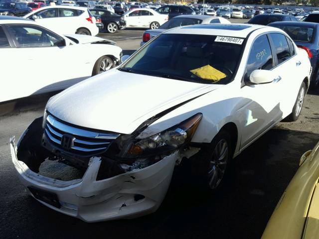 1HGCP3F87BA028349 - 2011 HONDA ACCORD EXL WHITE photo 2