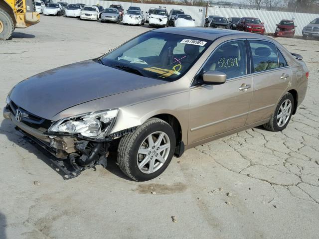 1HGCM66564A104498 - 2004 HONDA ACCORD EX GOLD photo 2