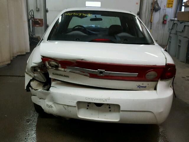 1G1JC52F537231622 - 2003 CHEVROLET CAVALIER WHITE photo 10