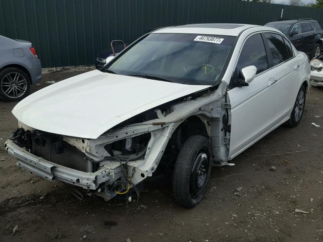 1HGCP3F89CA026684 - 2012 HONDA ACCORD EXL WHITE photo 2